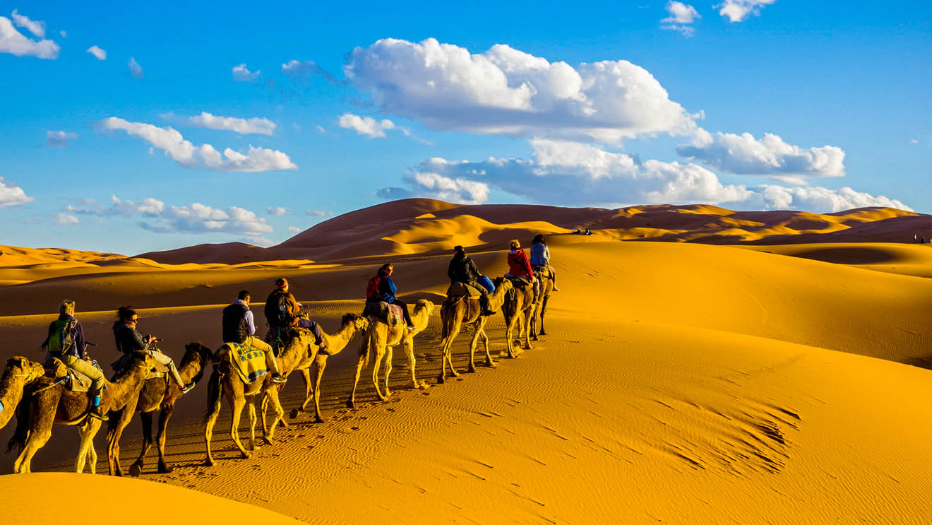Camels caravan in desert
