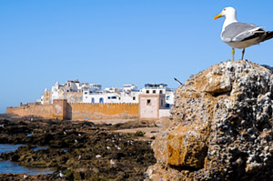 essaouira