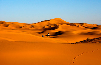 unique desert experience