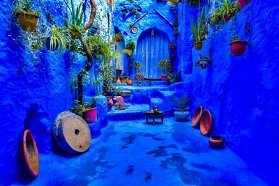 Travel Agencies Specialized In Trips In Morocco