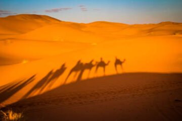 Tour 7 días al Sahara en camello desde Marrakech con Sahara 4x4