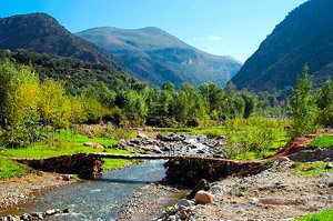 Excursion To The Ourika Valley